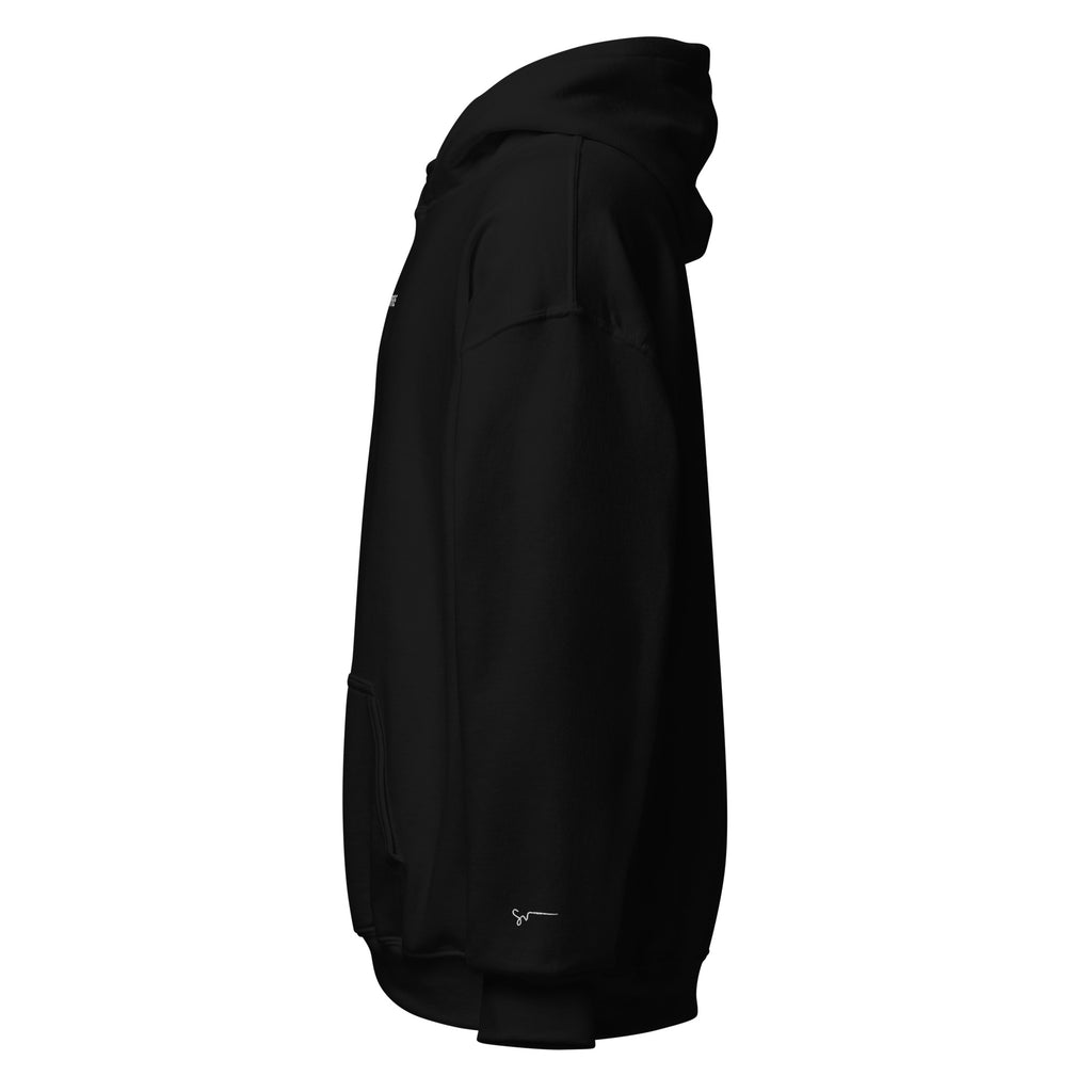 SUCCESS WIRE Signature Sport Embroidered Hoodie for Men (13 Color Variants)