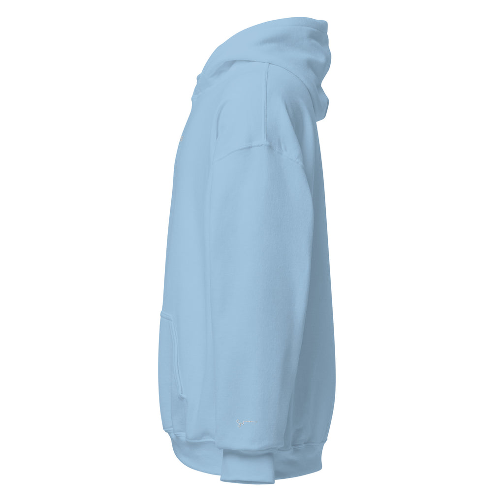 SUCCESS WIRE Signature Sport Embroidered Hoodie for Men (13 Color Variants)