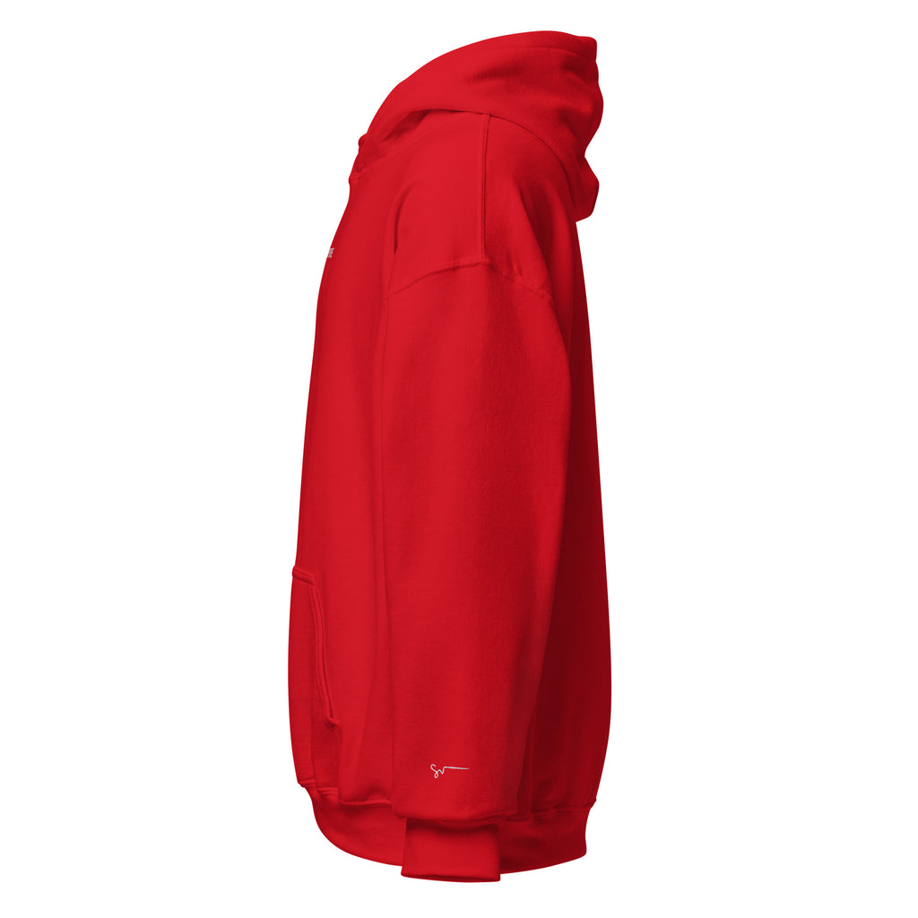 SUCCESS WIRE Signature Sport Embroidered Hoodie for Men (13 Color Variants)
