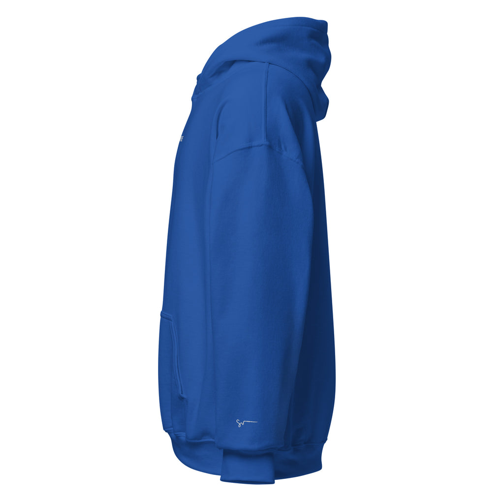 SUCCESS WIRE Signature Sport Embroidered Hoodie for Men (13 Color Variants)