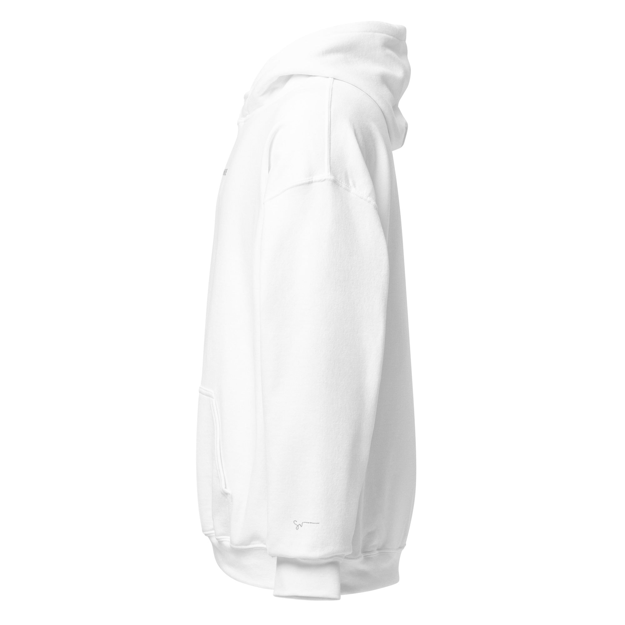SUCCESS WIRE Signature Sport Embroidered Hoodie for Men (13 Color Variants)